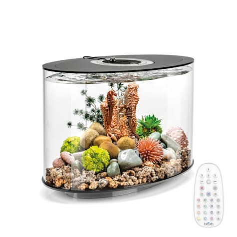 biOrb LOOP 15 Black Aquarium with MCR Light