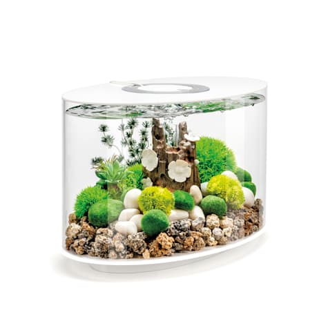 biOrb LOOP 15 White Aquarium with Standard Light