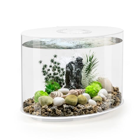 biOrb LOOP 30 White Aquarium with Standard Light