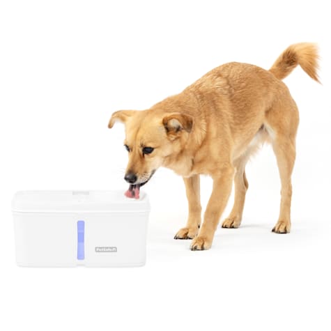 PetSafe Viva Pet Indoor Water Fountain with Ultra Quiet Pump for Dogs and Cats