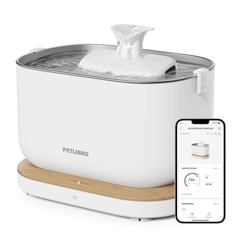 PETLIBRO Dockstream App Monitoring Water Fountain