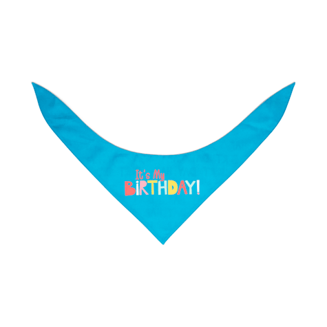YOULY Birthday Dog Bandana