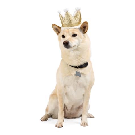 YOULY Birthday Crown Pet Hat