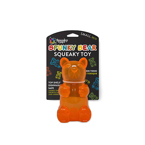 Spunky Pup Bear Squeaky Assorted Dog Toy