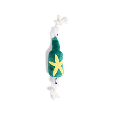 Started As A Bottle Message in a Bottle Green Dog Toy