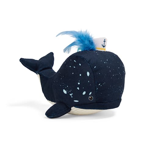 Started As A Bottle Whale Cat Toy