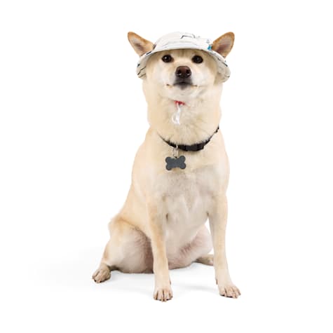 Started As A Bottle Wave Bucket Hat for Pets