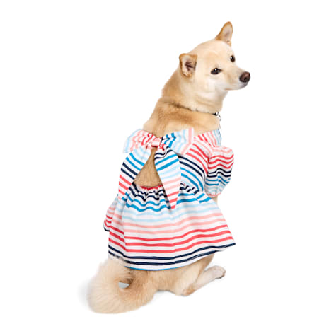 Started As A Bottle Striped Dog Dress