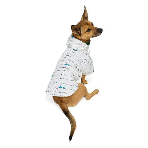 Started As A Bottle Wave Dog Raincoat