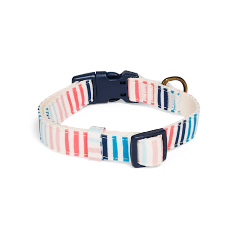 Started As A Bottle Striped Dog Collar