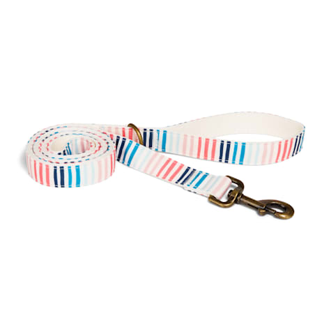 Started As A Bottle Striped Dog Leash