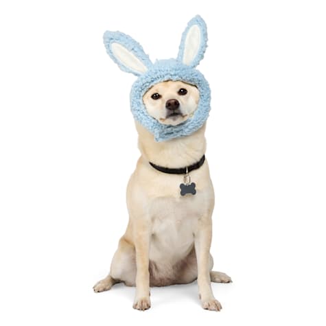 YOULY Bunny Ears Pet Hat