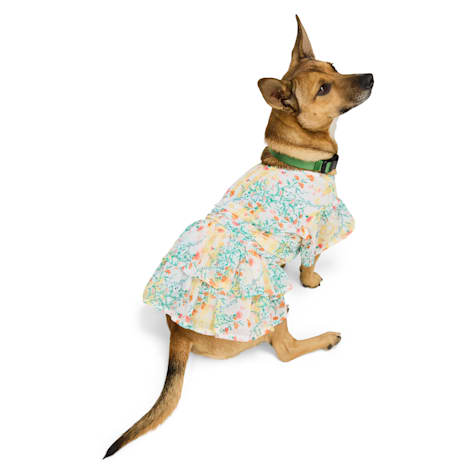 YOULY Floral Easter Pet Dress