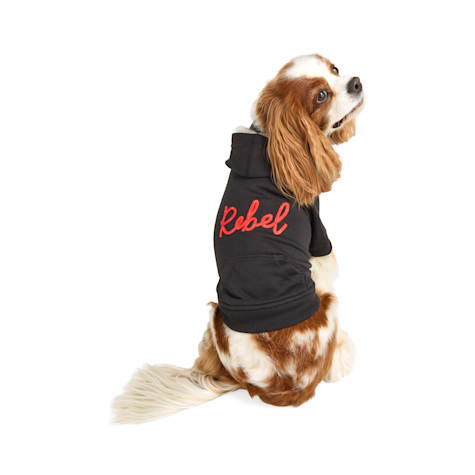 Reddy Rebel Dog Hoodie