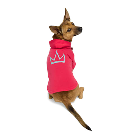 YOULY Crown Pet Hoodie