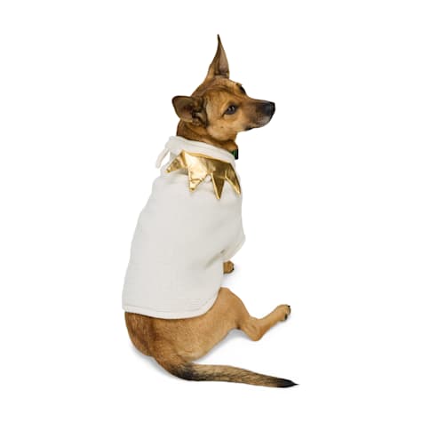 YOULY Crown Pet Sweater