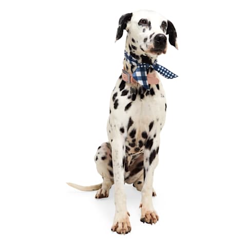 YOULY Blue Plaid Tie Pet Bandana