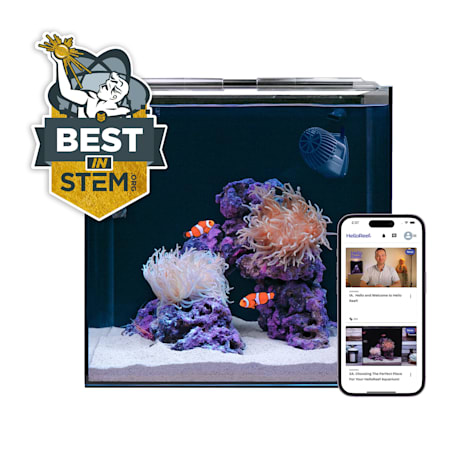 HELLOREEF Clownfish & Anemone Aquarium Kit