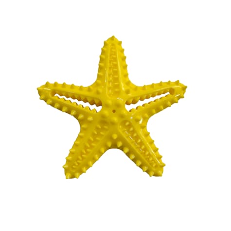 Bark-A-Boo TPR Squeaky Starfish Dog Toy