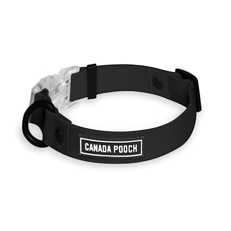 Canada Pooch Waterproof Dog Collar