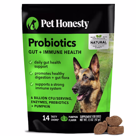 Pet Honesty Probiotics Gut + Immune Pumpkin Soft Chews for Dogs