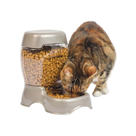 Petmate Blue Cafe Feeder for Pets