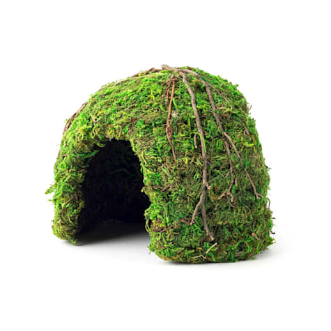 Galapagos Green Mossy Dome