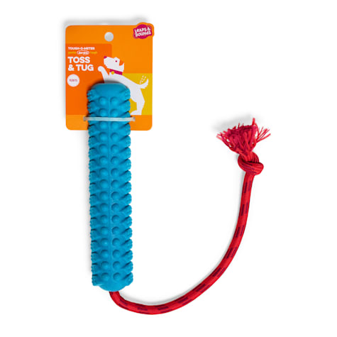 Leaps & Bounds Floating Bumper Dog Toy