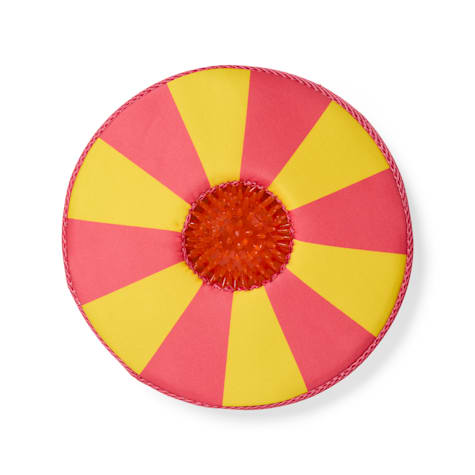 Leaps & Bounds Striped 2-in-1 Flyer Dog Toy