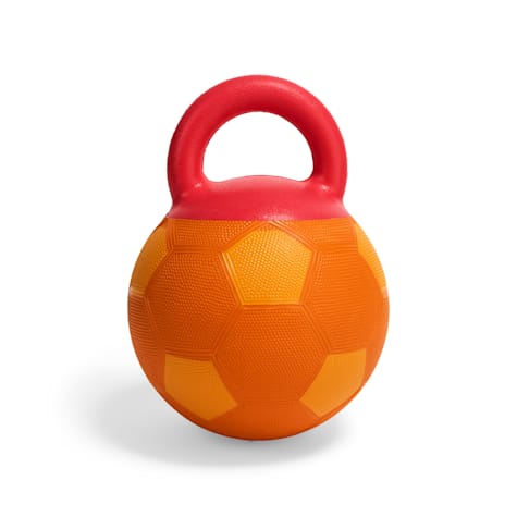 Leaps & Bounds Orange Soccer Ball Dog Toy with Handle