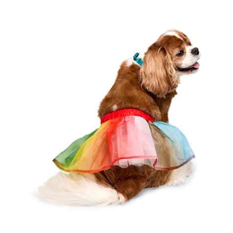 YOULY Pride Pet Tutu