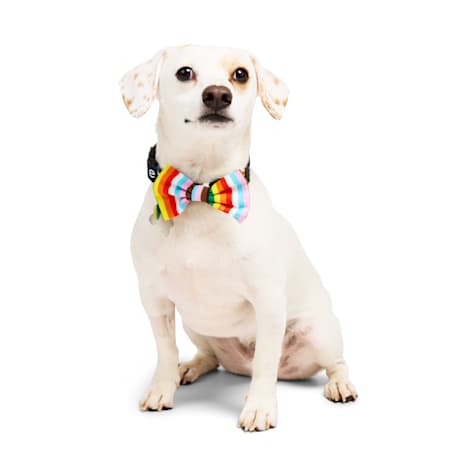 YOULY Pride Pet Bowtie