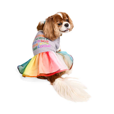 YOULY Pride Pet Tutu Dress