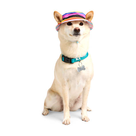 YOULY Pride Reversible Bucket Dog Hat