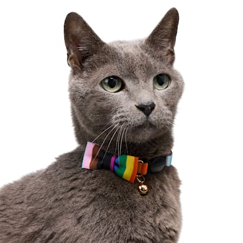 YOULY Pride Bowtie Cat Collar