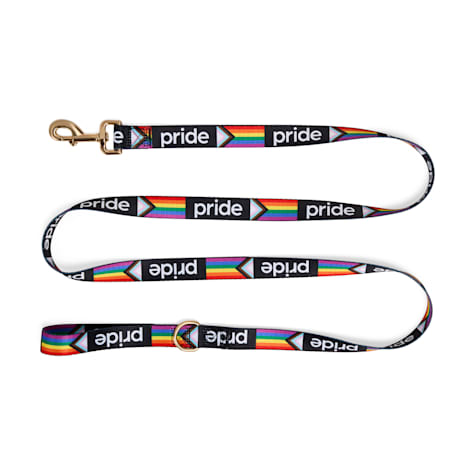 YOULY Pride Dog Leash