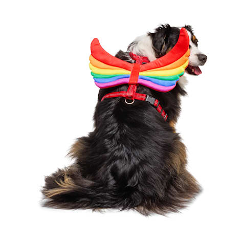 YOULY Pride Wings Dog Harness Attachment