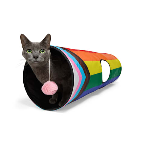 YOULY Pride Cat Tunnel Toy