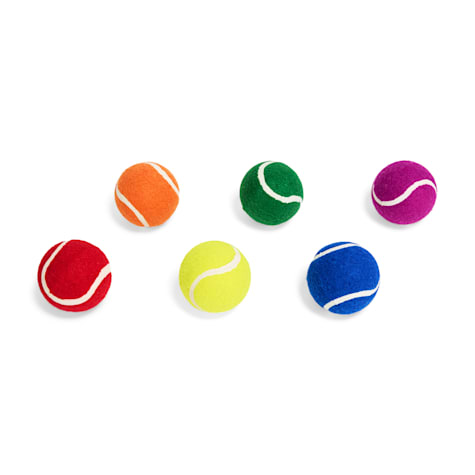 YOULY Pride Rainbow Tennis Ball Dog Toy Set