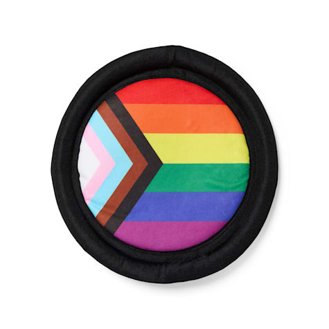 YOULY Pride Flyer Dog Toy