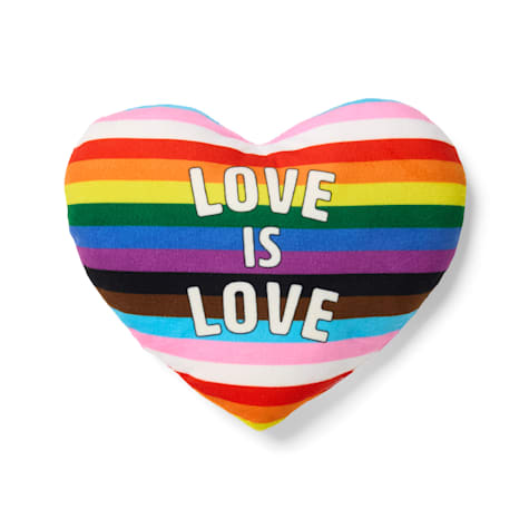 Petco 2 for $5 Love is Love Heart Plush Dog Toy