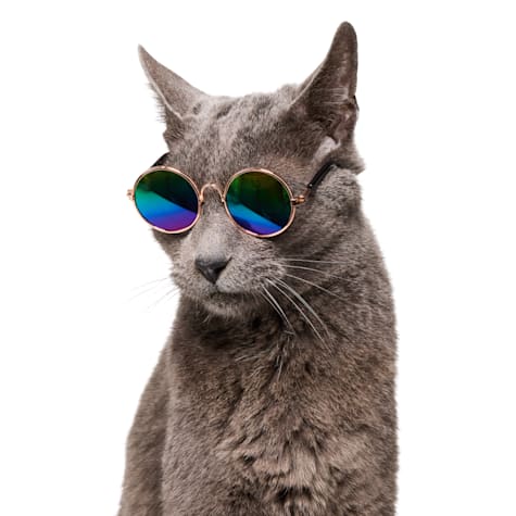 YOULY Iridescent Prop Cat Glasses