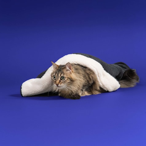 Jupiter Grey Cozy Cat Blanket Throw