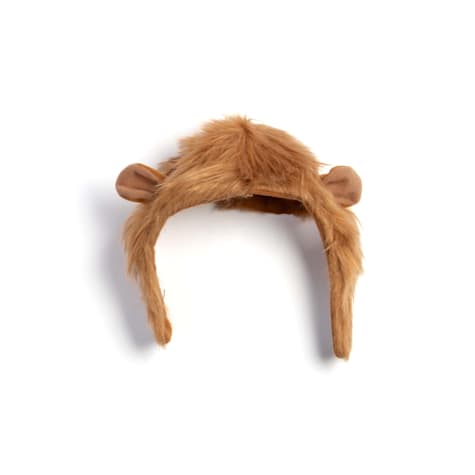 Jupiter King of the Jungle Lion's Mane Cat Costume