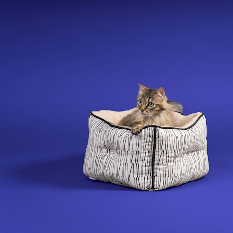 Jupiter Short Wall Cat Bed