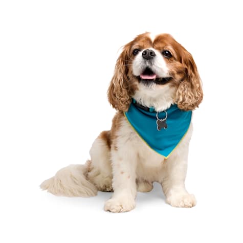 YOULY Cooling Reversible Dog Bandana
