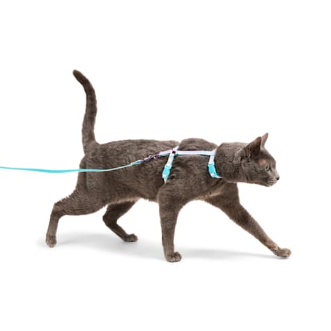 YOULY Iridescent Cat Leash and Harness Set