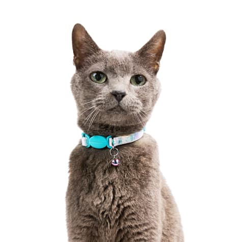 YOULY Iridescent Breakaway Cat Collar