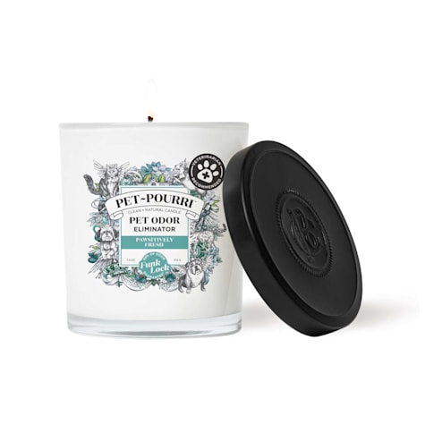 Pet-Pourri Pawsitively Fresh Candle for Cats