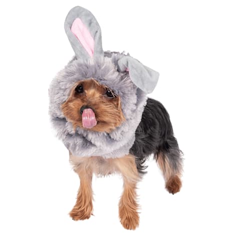 Lexington Road Halloween Bunny Snood Costume for Dogs